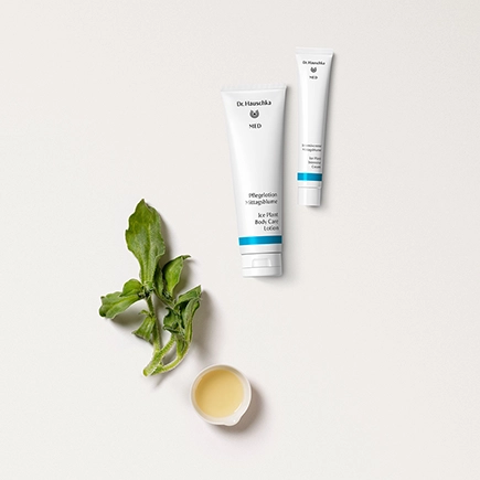 Dr. Hauschka MED Intensivcreme Mittagsblume