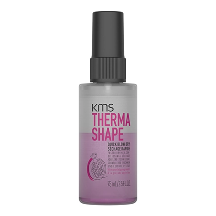 kms ThermaShape Quick Blow Dry
