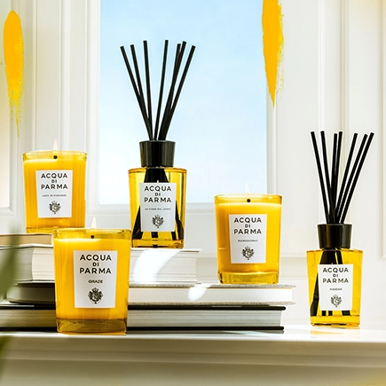 Acqua di Parma Raumdüfte Room Diffuser