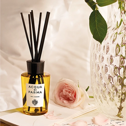 Acqua di Parma Raumdüfte Room Diffuser