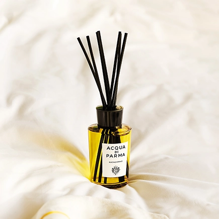 Acqua di Parma Raumdüfte Room Diffuser