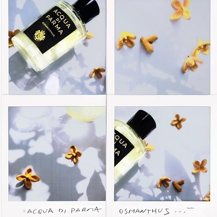 Acqua di Parma Signatures of the Sun Osmanthus Eau de Parfum