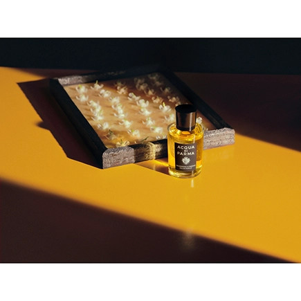 Acqua di Parma Gelsomino a Freddo Eau de Parfum