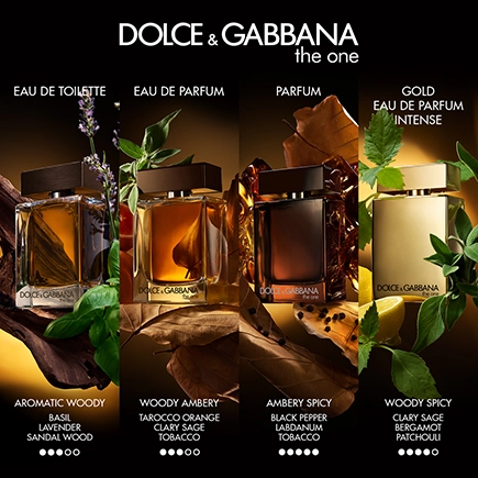 Dolce & Gabbana The One For Men Eau de Parfum