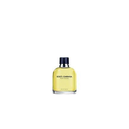 Dolce & Gabbana Pour Homme Eau de Toilette Spray